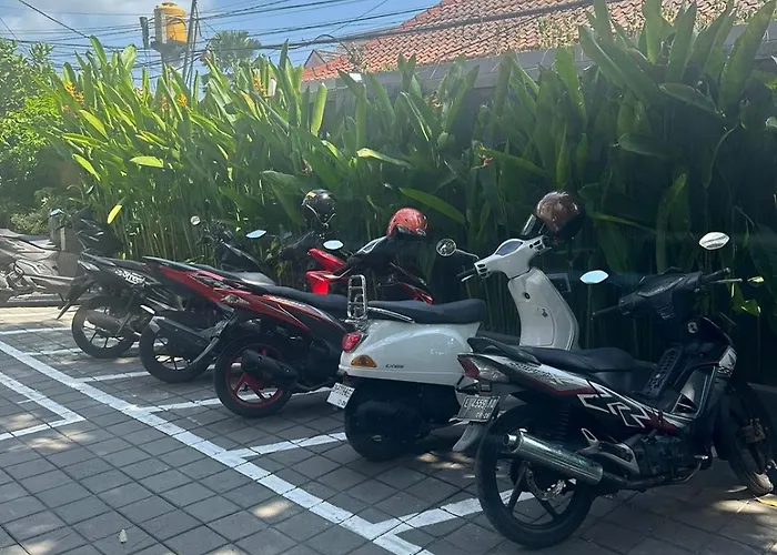 Pudak Sari